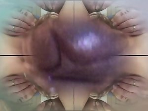 pussis के लिए मछली फ़ीड