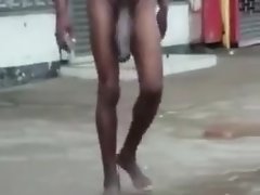 الوحش الديك رجل بلا مأوى