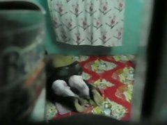 подростки колледжа скрытый секс